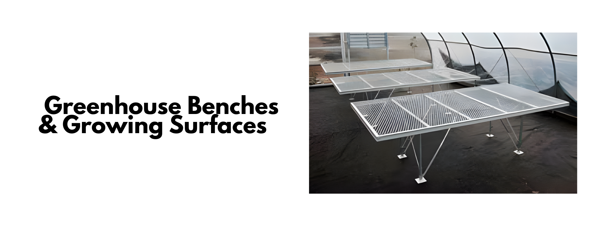 plant propagation system for greenhouse nursery production