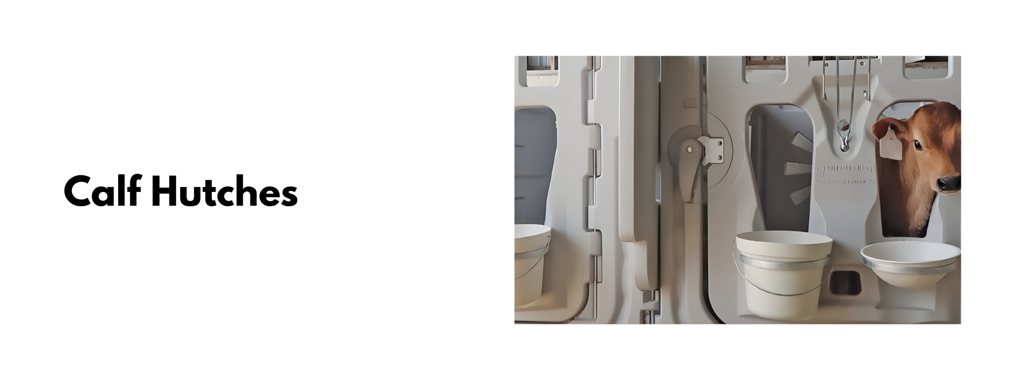 American Staple Livestock Systems (1)