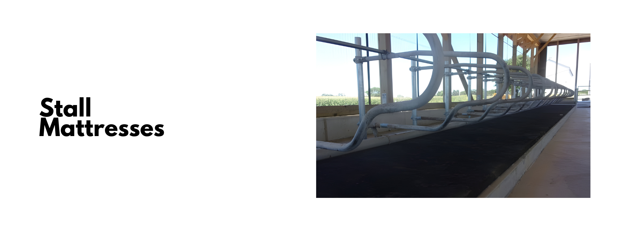 calf stall mattress for dairy barns