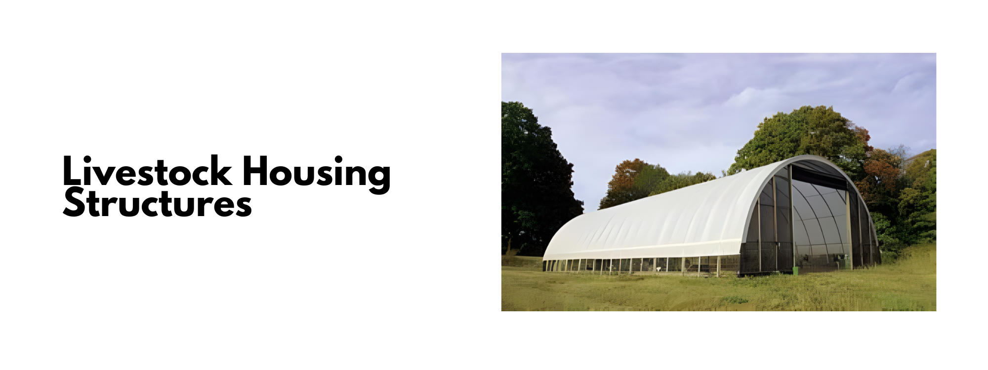 poultry swine and dairy livestock farm infrastructure